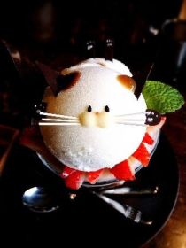 Không nỡ lòng ăn món kem mặt mèo siêu đáng yêu này !